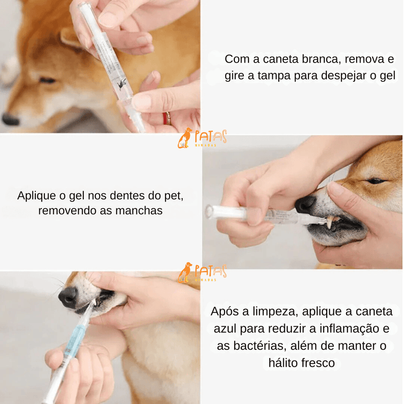 Caneta de cuidado dental pet