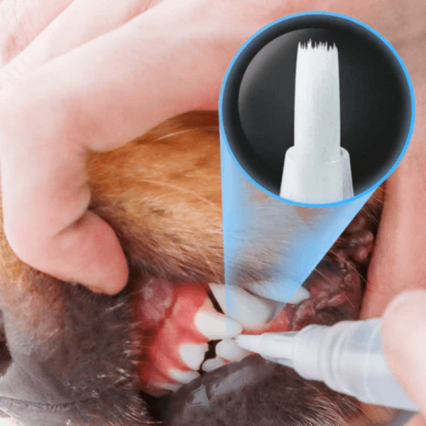 Caneta de cuidado dental pet